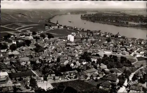 Ak Nierstein in Rheinland Pfalz, Blick auf den Ort, Fliegeraufnahme