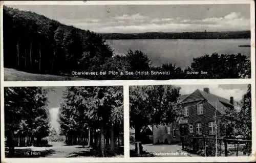 Ak Plön am See Holstein, Oberkleveez, Suhrer See, Gastwirtschaft Fay, Waldlandschaft