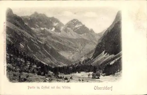 Ak Oberstdorf im Oberallgäu, Berge im Oythal, Landschaftsaufnahme, Schwarz-Weiß-Foto