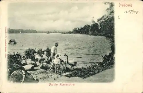 Ak Hamburg Nord Uhlenhorst, Uferpartie an der Aussenalster, Schwan
