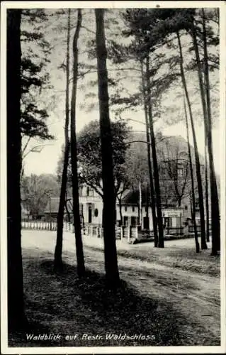 Ak Birkenwerder in Brandenburg, Waldblick, Restr. Waldschloss, Bäume, Gebäude, Weg