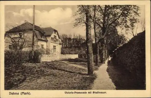 Ak Dahme Mark, Victoria Promenade, Stadtmauer
