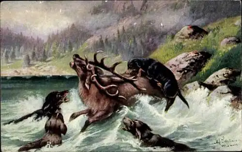 Künstler Ak Schönian, Alfred, Jagdhunde erlegen einen Hirsch