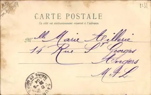 Passepartout Ak Zwei junge Katzen, Veilchen