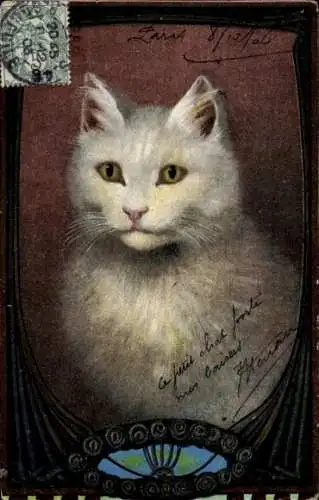 Ak Weiße Katze, Portrait