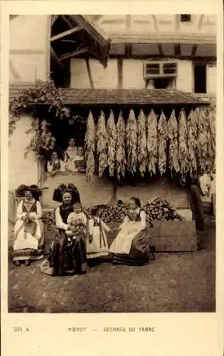CPA Alsacienne, femme alsacienne en costume traditionnel, Sechage du Tabac