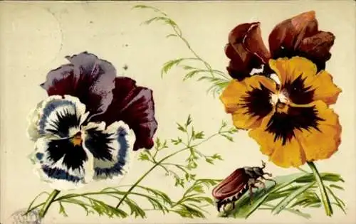 Ak Blumen, Stiefmütterchen, Maikäfer