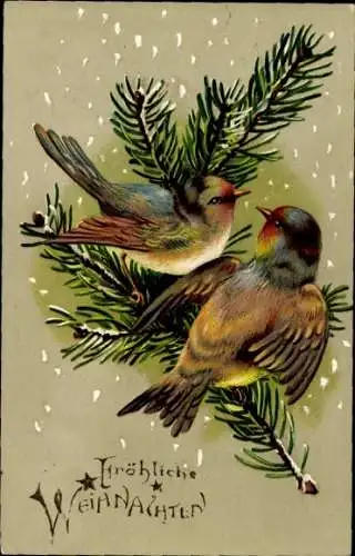 Ak Frohe Weihnachten, Tannenzweig, Vögel