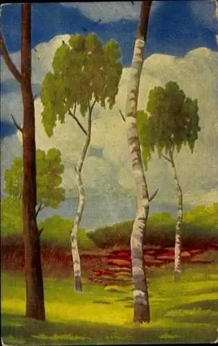 Künstler Ak Landschaft, Birken