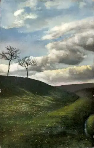 Ak Wiese, Bäume, Bewölkter Himmel