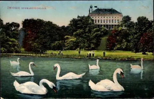 Ak Zwickau in Sachsen, Schwanenschloss