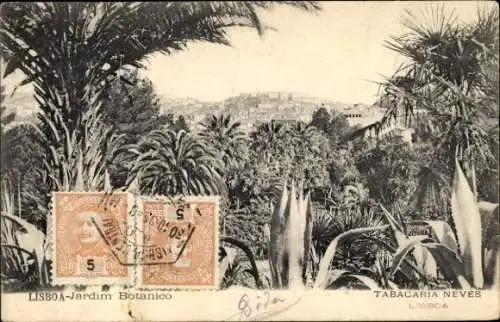 Ak Lisboa Lissabon Portugal, Botanischer Garten, Tabacaria Neves, Pflanzenvielfalt, 