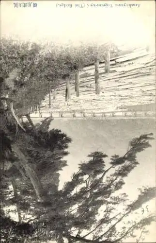 Ak Kyoto Präfektur Kyoto Japan, Brücke Togetsu-kyo, Baumreihe, ruhige Wasseroberfläche