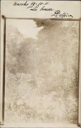 Ak Basoko DR Kongo Zaire, Waldlandschaft, Unscharf, Datum 19-10-11, La Crousse, Delpirs