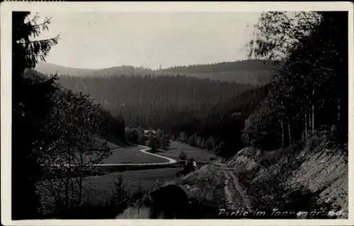 Ak Neustadt am Rennsteig Großbreitenbach in Thüringen, Tannengrund