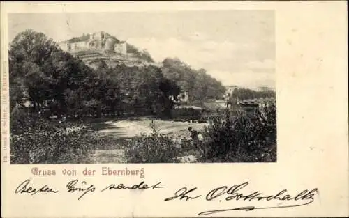 Ak Bad Münster am Stein Ebernburg, Schloss  Fluss, Bäume,  Ansicht, 