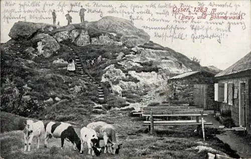 Ak Lam im Bayerischen Wald Oberpfalz, Osser, Osserschutzhaus