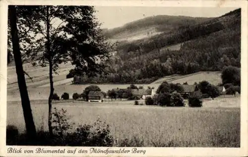 Ak Wilthen in der Oberlausitz, Blick von Blumental auf den Mönchswalder Berg