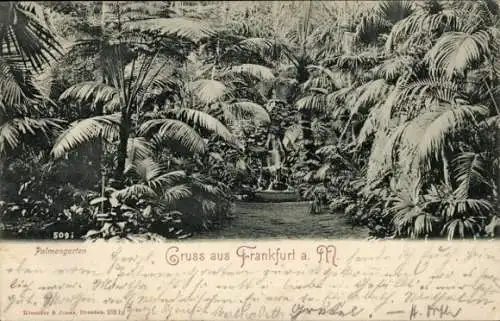 Ak Frankfurt am Main, Tropischer Garten, Palmen, Statue, Gruss aus Frankfurt a. M., 1902