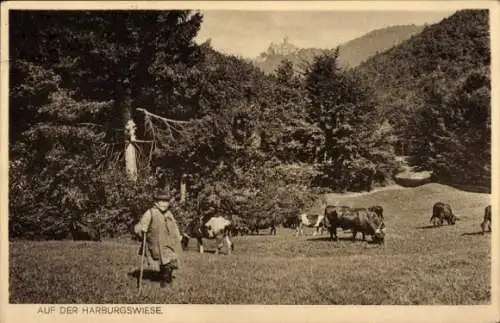 Ak Wernigerode im Harz, Landschaftsbild mit Kühen, Berg im Hintergrund, einstufiger Wanderer, ruh