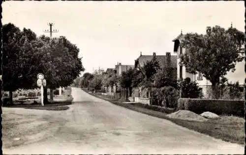 Ak Bléneau Yonne, Avenue Paul-Bert, Häuserreihen, Bäume, ruhige Straße