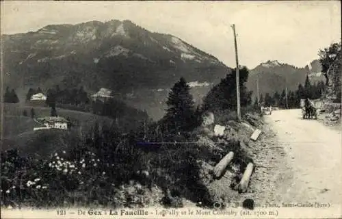 Ak Gex Ain, Col de la Faucille, Berglandschaft, Mont Colomby, Pferd, Weg, Häuser