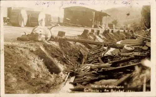 Foto Ak Bad Gottleuba in Sachsen, Hochwasserkatastrophe 1927, Am Bahnhof, tote Kuh
