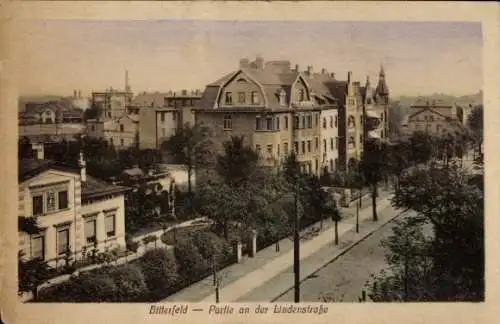 Ak Bitterfeld in Sachsen Anhalt, Blick auf die Lindenstraße, Häuser, Bäume, ruhige Straße