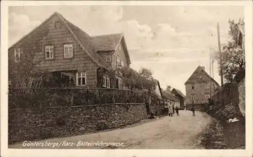 Ak Güntersberge Harzgerode am Harz, Straße, Häuser, ländliche Idylle, Bewohner, Hunde