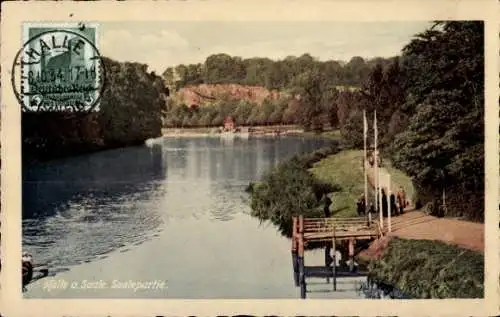 Ak Halle an der Saale, Fluss, Wald