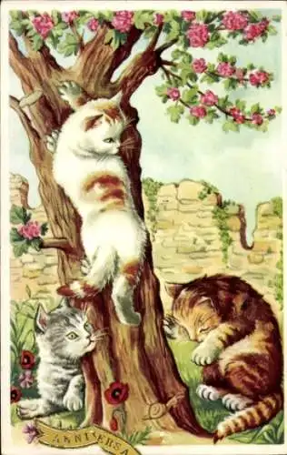 Ak Katzen im Garten, Kätzchen klettert auf blühenden Baum, Schnecke