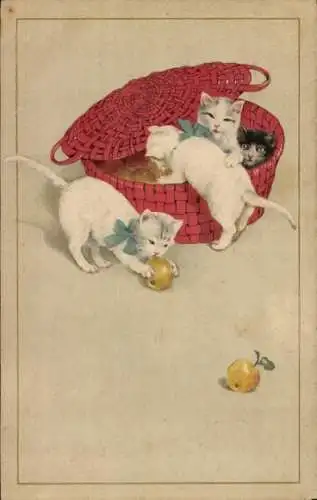 Ak Junge Katzen in einem roten Korb, weiße Katze spielt mit Äpfeln
