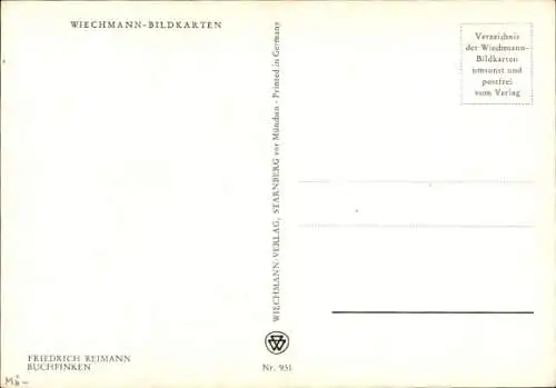 Künstler Ak Reimann, F., Buchfinken am Baum
