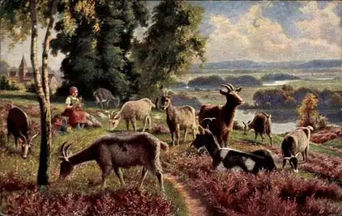 Künstler Ak Landschaft, weidende Ziegen
