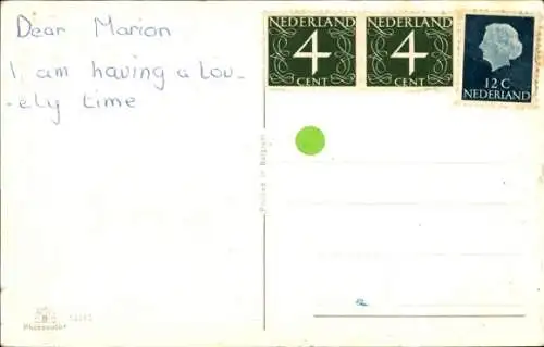 Ak Pferd, Pferdekopf, Portrait