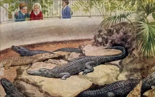 Künstler Ak London, Zoologischer Garten, Krokodile