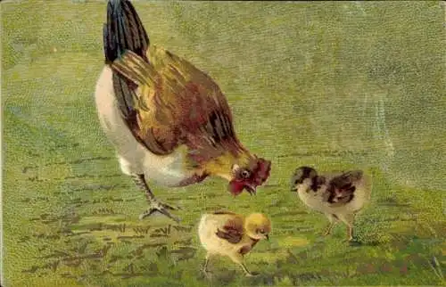 Künstler Ak Henne mit Küken
