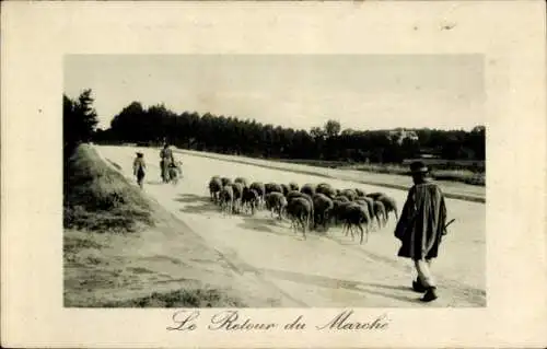 Ak Schafe, Le Retour du Marché