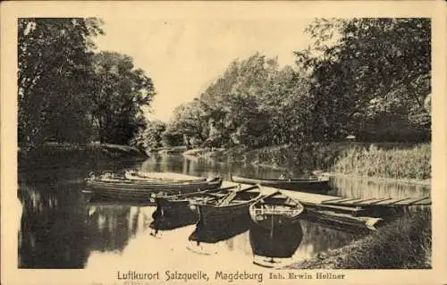 Ak Magdeburg an der Elbe, Blick auf die Salzquelle in Magdeburg mit Bäumen und Booten