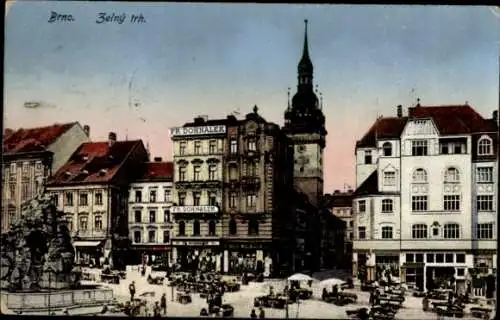 Ak Brno Brünn Südmähren,  3elný trh, Gebäude, Brunnen, Menschen, Markt