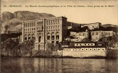 Ak Monaco, Musée Océanographique, Tête de Chien, Meeransicht