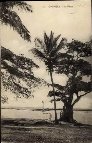 Ak Konakry Conakry Guinea, Le Phare, Fernblick zum Light Tower