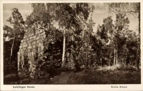 Ak Letzlingen Gardelegen Altmark, Ruine Sibow