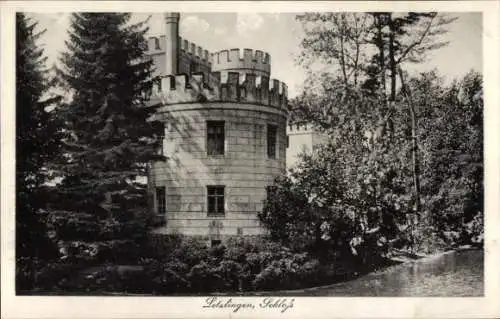 Ak Letzlingen Gardelegen Altmark, Schloss
