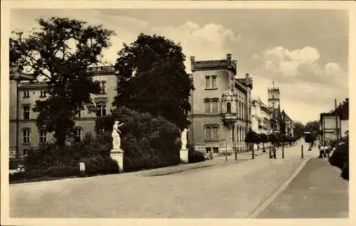 Ak Strelitz Alt Neustrelitz in Mecklenburg, Straße mit Bäumen, Gebäude, Statuen,  Architektur
