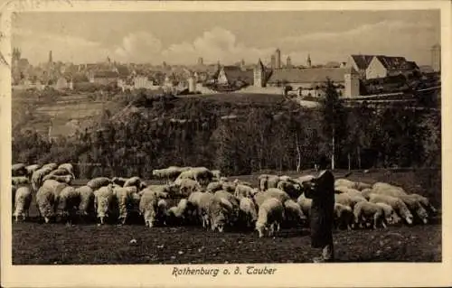 Ak Rothenburg ob der Tauber Mittelfranken, Landschaft mit Schafen, Stadtansicht im Hintergrund, s