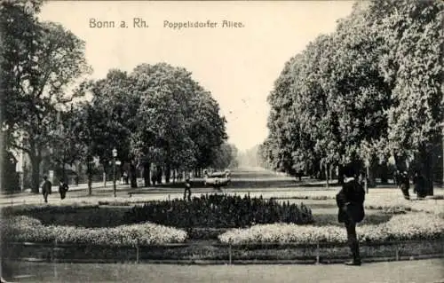 Ak Poppelsdorf Bonn am Rhein, Bäume, Poppelsdorfer Allee, Blumenbeet, Person, Straße