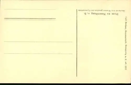 Ak Naumburg an der Saale, Dom zu  Gymnasium,  Architektur, schwarz-weiß