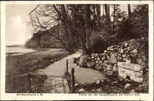 Ak Alt Buchhorst Grünheide in der Mark, An der Spiegelquelle, Möllnsee
