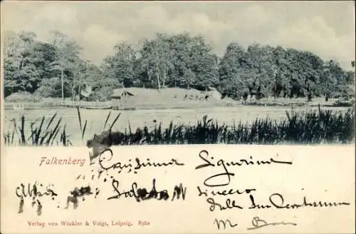 Ak Falkenberg an der Elster, Landschaft mit Wald, Seen, Verlag Winkler & Voigt, Leipzig